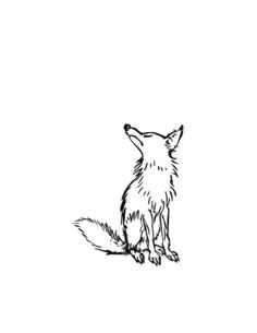 Snooty wolf