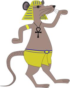 Egyptian rodent