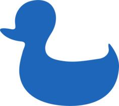 Blue duck image
