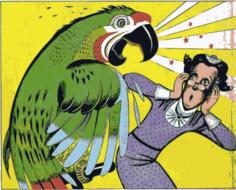 Angry parrot