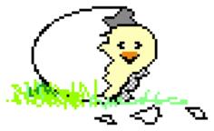 Chicken and egg