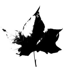 Black and white leaf