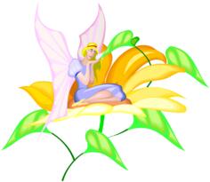 Butterfly pixie