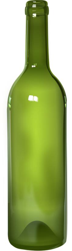 Detailed bottle vector image