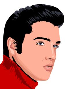Elvis Presley vector image