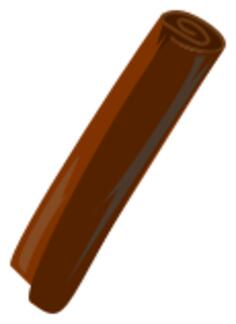 Cinnamon stick