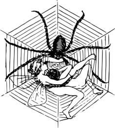 Fairy caught by spider