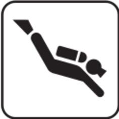Diving icon