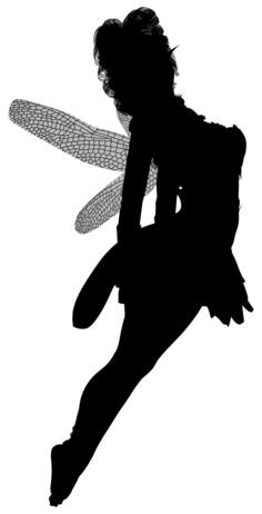 Translucent wings on fairy silhouette