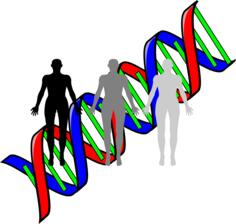 Human cloning