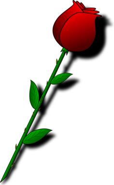 Rose with thorns