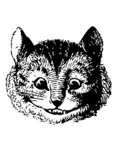 Cheshire cat from Alice in wonderland