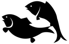 Two fishes icon