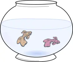 Fish bowl with fish