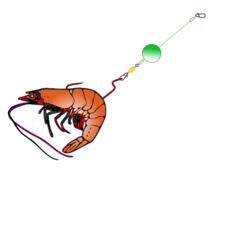 Fishing bait with shrimp