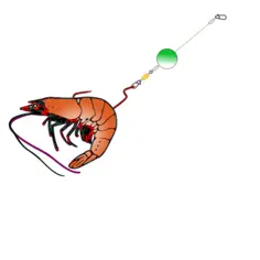 Fishing bait with shrimp