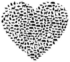 Animals and heart