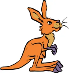 Small kangaroo