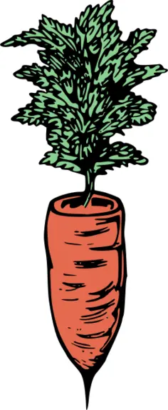 Simple carrot