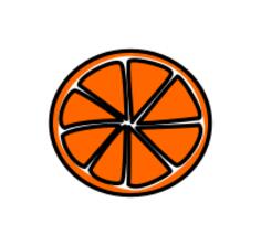 Sliced orange vector image