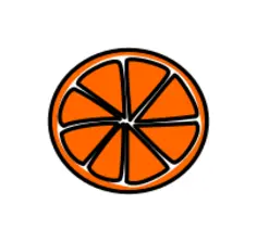 Sliced orange vector image