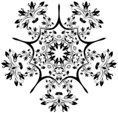 Black and white petals