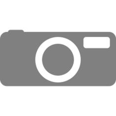 Gray camera
