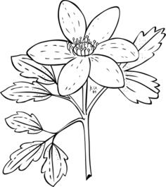 Simple flower image