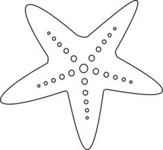 Starfish drawing