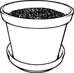 Soil in pot