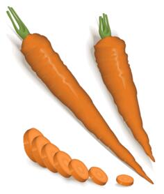 Peeled and chopped carrots