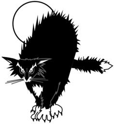 Black cat drawing