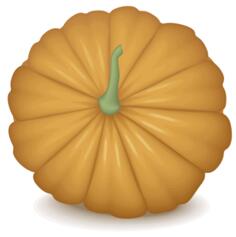 Orange pumpkin image