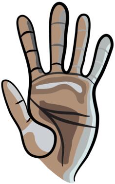 Palm image