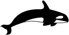 Orca silhouette