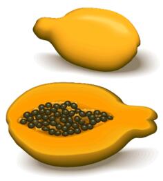 Papaya and a half