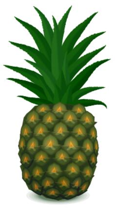 Green pineapple vector image