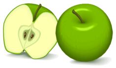 Green apples vector image