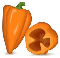 Orange pepper bell