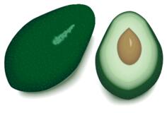 Avocado with insides