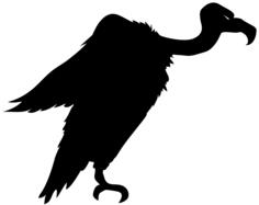 Vulture silhouette vector image