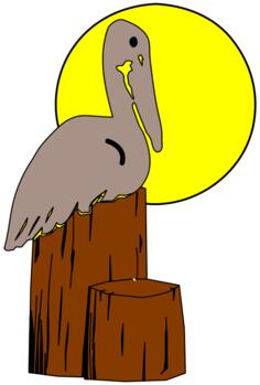 State bird of Louisiana