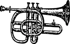 Cornet vector illustration