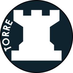 White chess pawn icon
