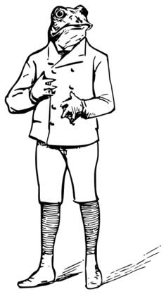 Frog man vector image