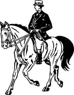 Horse and fancy rider