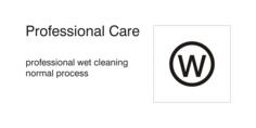 Wet clean - normal process icon
