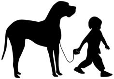 Boy walking dog