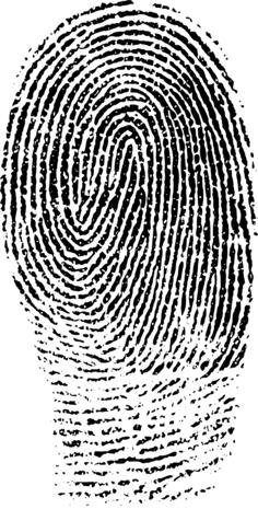 Fingerprint image