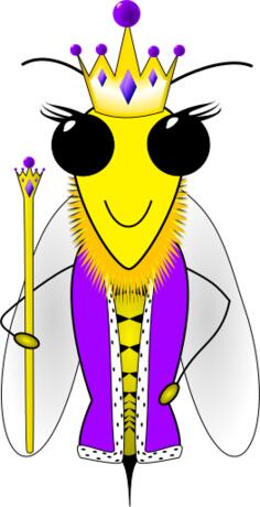 Queen bee image